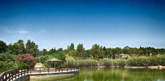 Βόλτα στο ιστορικό Πάρκο «Αντώνης Τρίτσης»