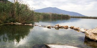 Η άγνωστη λίμνη Μουστού στην Αρκαδία και οι θεραπευτικές της ιδιότητες