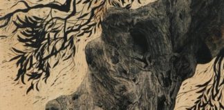 Δήμητρα Γούναρη: “Ελιά, το μοντέλο της αιωνιότητας στο παιχνίδι του χρόνου”