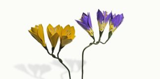 Μορφές της φύσης σε πηλό και ασήμι