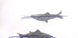 H Ένωση Ελλήνων Χαρακτών στην 4η Art Thessaloniki International Contemporary Art Fair