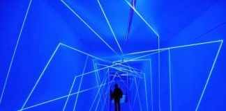 Aemilia Papaphilippou: “Art is a technology of thought and a strategy for evolution”