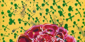 ΚΩΣΤΑΣ ΕΥΑΓΓΕΛΑΤΟΣ: ΜΑΓΙΑΤΙΚΑ ΡΟΔΙΝΑ ΑΝΘΕΜΙΑ