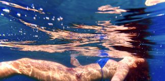 Τhe Art | Artists Diaries – Αριστέα Παναγιωτακοπούλου: “Καταστρέφουμε έναν πανέμορφο πλανήτη στο όνομα του πολιτισμού, της ανάπτυξης και της καλύτερης ζωής”