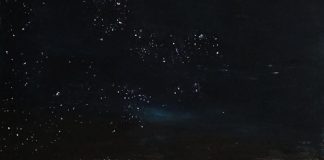 “Η ανάσα της φύσης” στη σκιά της Ακρόπολης