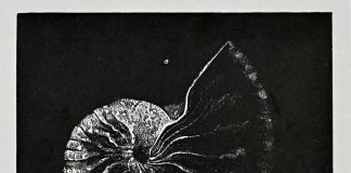 Η χαρακτική του Μιλτιάδη Πεταλά στην Zivasart Gallery