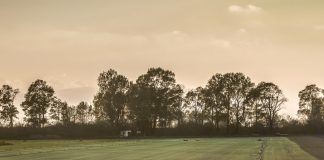 270 φωτογραφικές ιστορίες από όλη την Ελλάδα στον Βοτανικό!