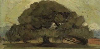 Η πάμφωτη χρωματική ύλη μορφών και τοπίων του Νικόλαου Λύτρα