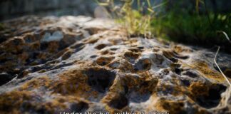 The Root, Ομαδική έκθεση στο Amphicar Studio