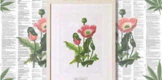 Χλόη Ακριθάκη: “O Αφρός των ημερών”, στο υποσυνείδητο μου υπήρχε πάντα το «κούμπωμα» με την έκθεση του πατέρα μου Αλέξη Ακριθάκη στην ίδια γκαλερί