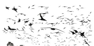 Διαδρομή, έκθεση της Αντιγόνης Καββαθά στη Δημοτική Πινακοθήκη Λάρισας-Μουσείο Γ. Ι. Κατσίγρα