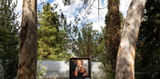 Sheltered Gardens, Η πρωτότυπη υβριδική έκθεση άνοιξε για το κοινό