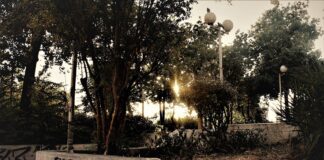 ΦΩΤΟΓΡΑΦΙΕΣ ΜΕ ΤΟΝ ΦΑΚΟ ΜΟΥ “ΤΟ ΒΛΕΜΜΑ ΜΟΥ 23”: Το παγκάκι της μοναξιάς. Φώτιος Θαλασσινός