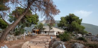 Oh, tranquility! Penetrating the very rock, A cicada’s voice από την Polygreen Culture & Art Initiative (PCAI)