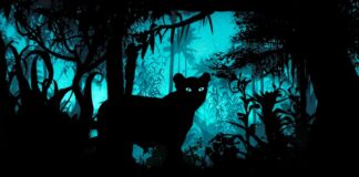 CinEd: Πρόγραμμα εκπαίδευσης στον ευρωπαϊκό κινηματογράφο για παιδιά και νέους CinEd