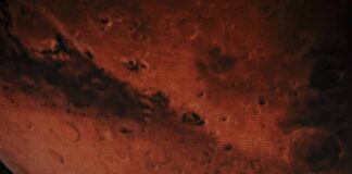 “From Munich to Mars”: η συλλογή AW24 της MCM παρουσιάστηκε στην Εβδομάδα Μόδας του Μιλάνου from-munich-to-mars-i-syllogi-aw24-tis-mcm-parousiastike-stin-evdomada-modas-tou-milanou