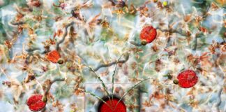 Άννα Αμπαριώτου: Η Τέχνη του να μην κάνεις τίποτα και η παράλληλη πεζοπορία στην CITRONNE Gallery στην Αθήνα