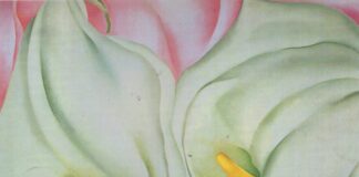Η Λυρική Αφαιρετική Άνθηση της Georgia O’Keeffe