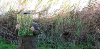 Neo Tropical, Ο Γιάννης Παπαδόπουλος στην Kalfayan Galleries neo-tropical-o-giannis-papadopoulos-stin-kalfayan-galleries