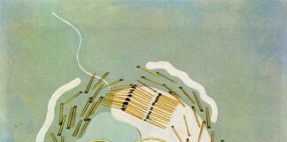 Τα μηχανικά εικαστικά όντα του Φράνσις Πικαμπιά ta-michanika-eikastika-onta-tou-fransis-pikabia