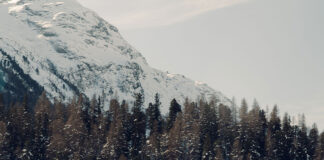Loro Piana at The I.C.E. St. Moritz, The International Concours of Elégance.