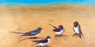 «εκ του λάμπω, Τα λαμπριάτικα» έκθεση στον Ελληνο-Γαλλικό Σύνδεσμο ek-tou-labo-ta-labriatika-ekthesi-ston-ellino-galliko-syndesmo