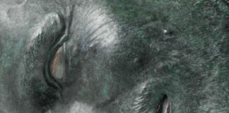 “Apocalypse Now and Then”, η Andra Ursuţa στο Ίδρυμα ΔΕΣΤΕ Ύδρας Apocalypse Now and Then