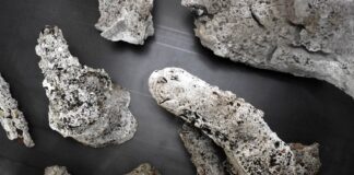 This way, the traces never die, η Αθηνά Κουμπαρούλη στην a.antonopoulou.art