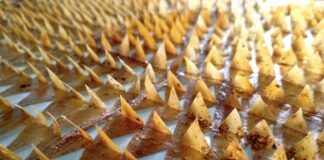 Safe Area, O Νίκος Ποδιάς στην Citronne Gallery Safe Area