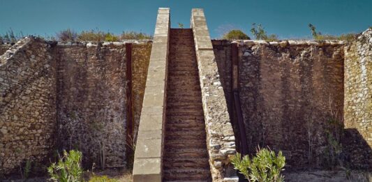 Nature inside the walls: Διατομική έκθεση του Κωνσταντίνου Πάτσιου κ' Μάριου Φούρναρη