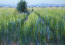 Μίλτος Γκολέμας: Η πολιτική της σιωπηλής εικόνας