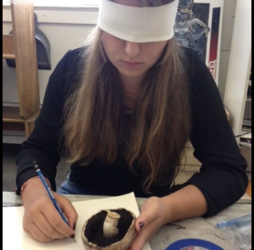 Η Τέχνη στο Σχολείο