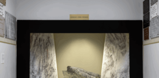 Διπλός Δεσμός: Οι Εικαστικοί Εκπαιδευτικοί του Κολλεγίου Αθηνών παρουσιάζουν έργα τους Διπλός Δεσμός: Εικαστικοί Εκπαιδευτικοί του Κολλεγίου Αθηνών