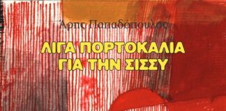 Λίγα πορτοκάλια για την Σίσσυ, βιβλίο από τον Άρη Παπαδόπουλο Λίγα πορτοκάλια για την Σίσσυ