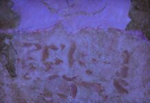 “Θεόδωρος Στάμος: Πνευματικό πεδίο” στην Roma Gallery