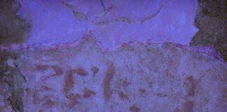 “Θεόδωρος Στάμος: Πνευματικό πεδίο” στην Roma Gallery