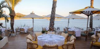 Casa Fish Athens: Το νέο premium seafood destination της Αθηναϊκής Ριβιέρας Casa Fish Athens: Το νέο premium seafood destination της Αθηναϊκής Ριβιέρας