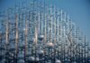 The Mamidakis Foundation Art Prize 2026 – Chronotopia: A Circular Dialogue Between Landscape, Democracy and Human Presence