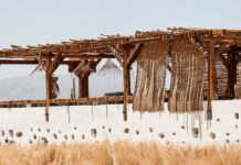 Tortuga: Η νέα γαστρονομική ταυτότητα που αναδεικνύει τη γεύση και το πνεύμα της Νάξου Tortuga: Η νέα γαστρονομική ταυτότητα που αναδεικνύει τη γεύση και το πνεύμα της Νάξου