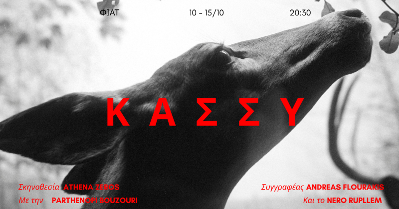 ΚΑΣΣΥ
