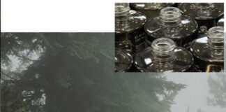The Power of Nature: KORRES Unveils Black Pine & Black Mushroom at The Glasshouse The Power of Nature: KORRES Unveils Black Pine & Black Mushroom at The Glasshouse