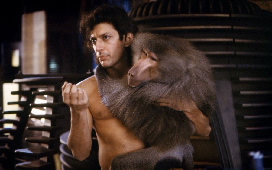Jeff Goldblum